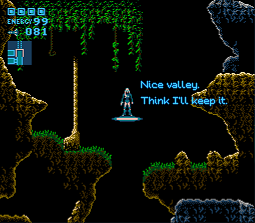 SAMUS ARAN: Nice valley. Think I'll keep it.